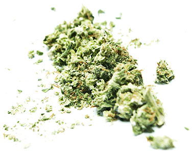 herbs