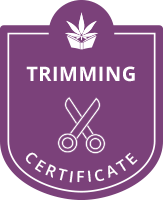 ctu trimming certificate